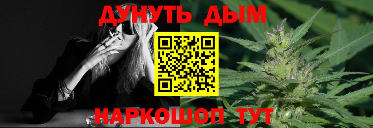 Марихуана сатива Новодвинск